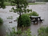 river-wharfe-11