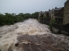river-wharfe-25