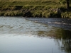 river-wharfe-29