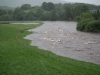 river-wharfe-9